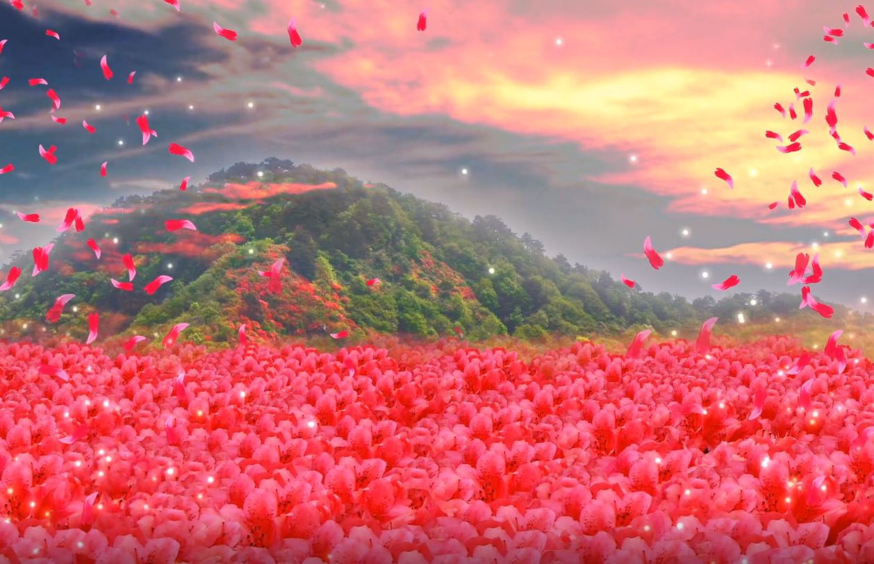 映山红飘舞,满山杜鹃花飘,浪漫红花等唯美动态背景视频
