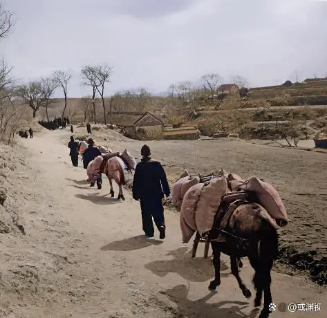 图片加载失败