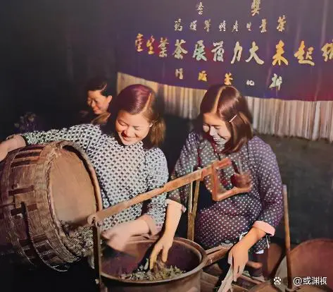 图片加载失败