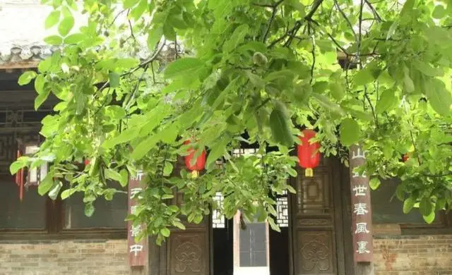 图片加载失败