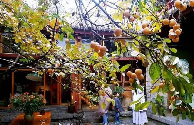 图片加载失败