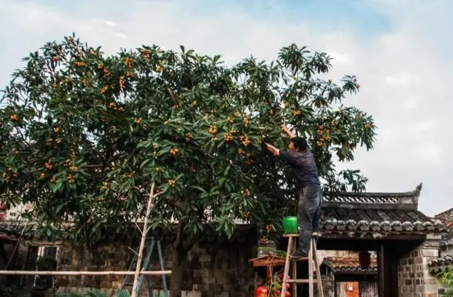 图片加载失败