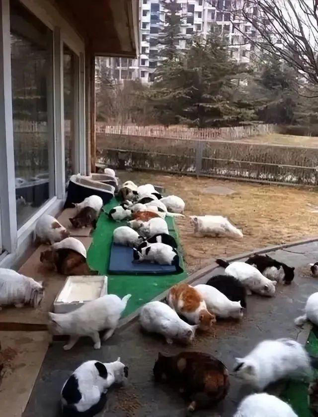 图片加载失败