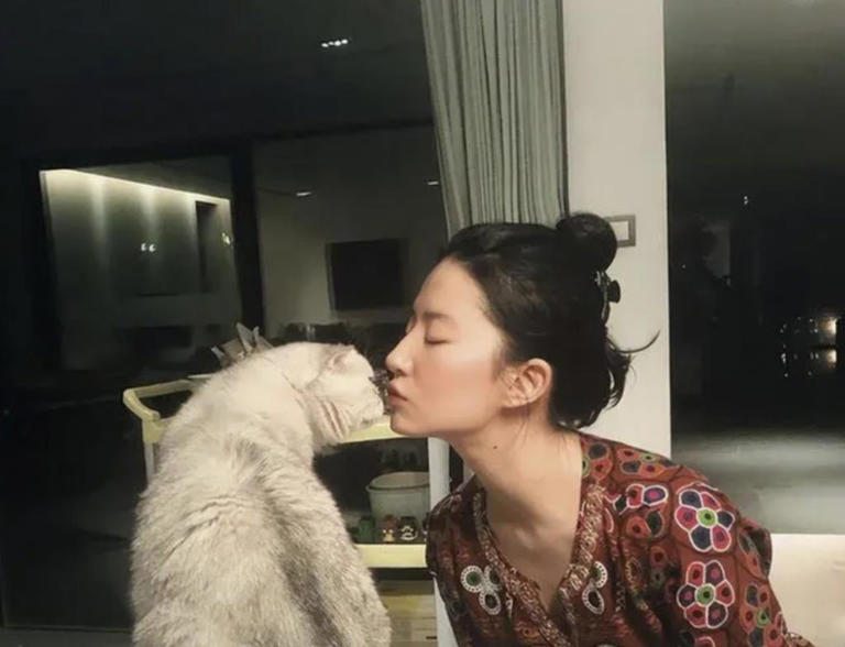 图片加载失败
