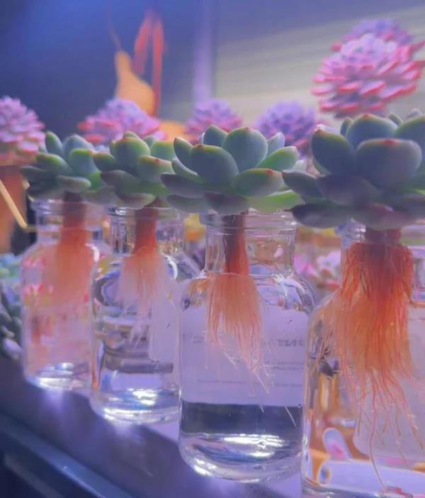 图片加载失败