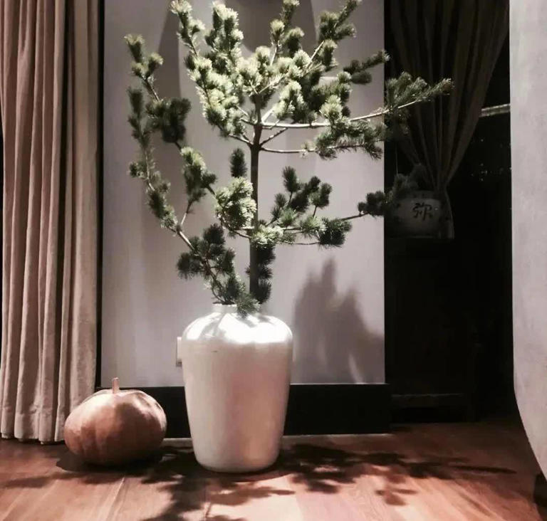 图片加载失败