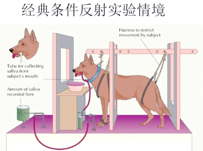 图片加载失败