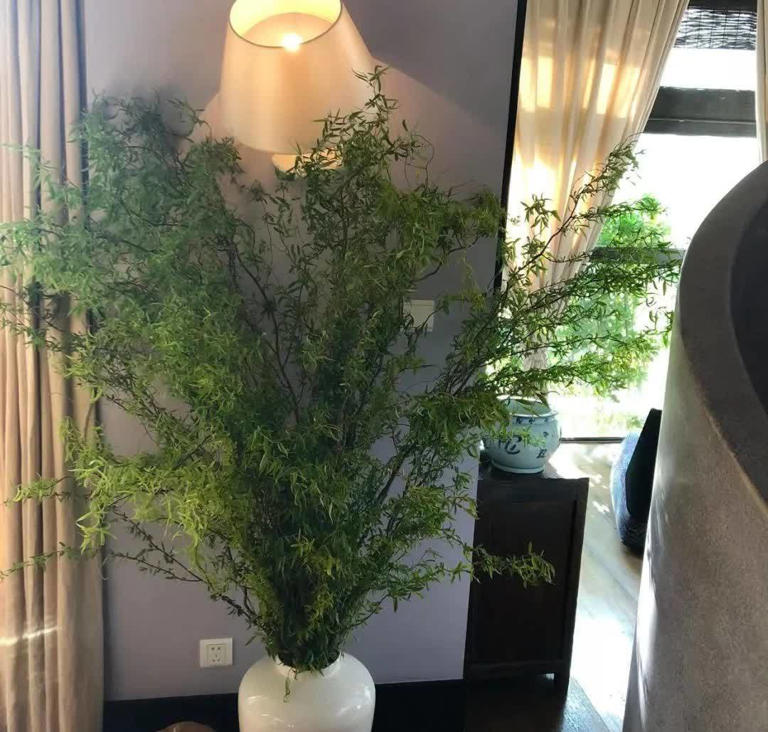 图片加载失败