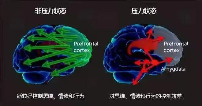 图片加载失败