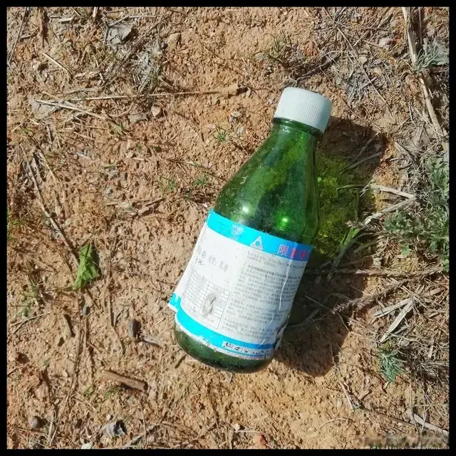 图片加载失败