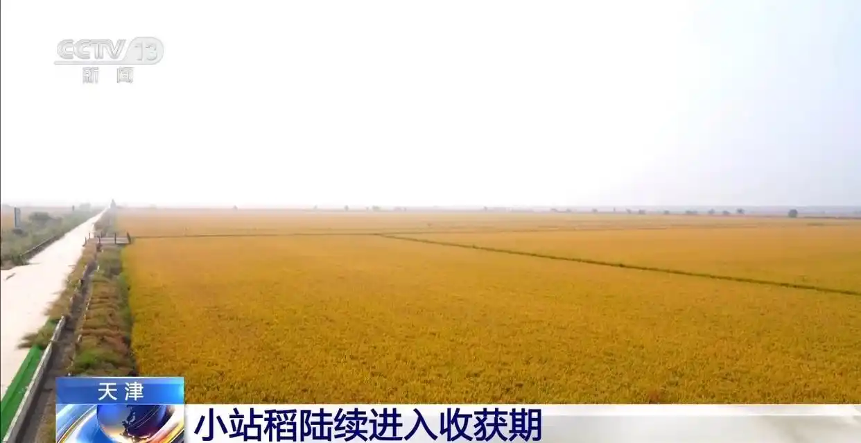 图片加载失败