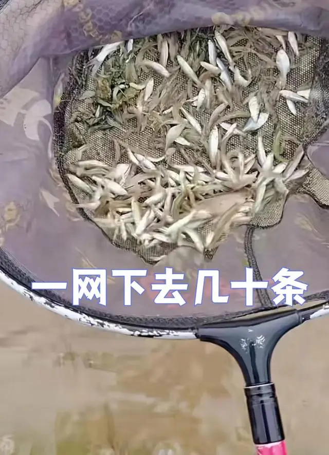 图片加载失败