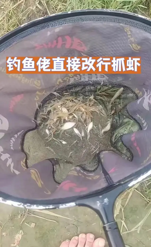 图片加载失败