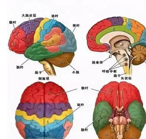 图片加载失败